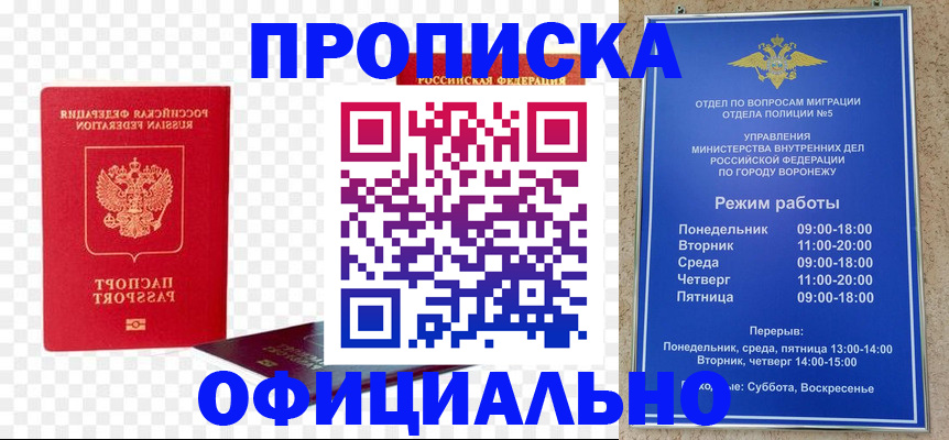 временная регистрация недорого в Александрове